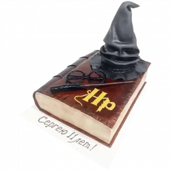 Торт Гарри Поттер с книгой и шляпой