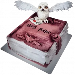 Торт с книгой и совой в стиле Гарри Поттера