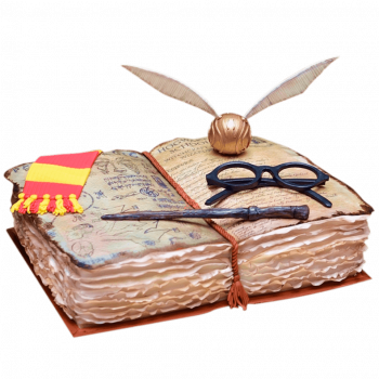 Торт Гарри Поттер с книгой заклинаний